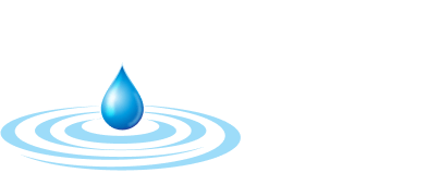 Logo Footer